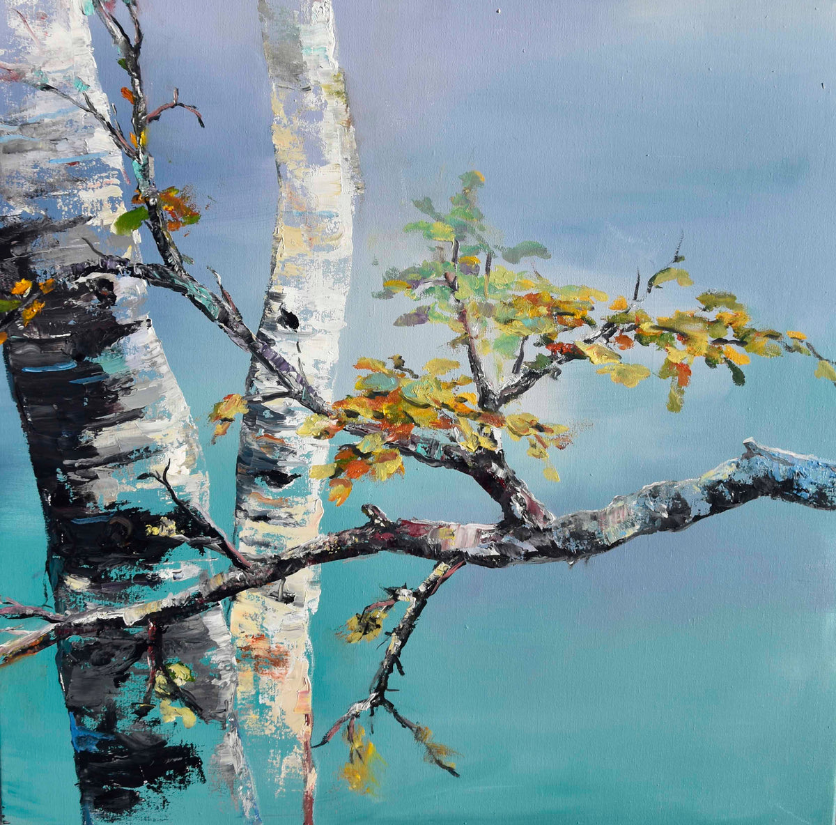 CC 90x90